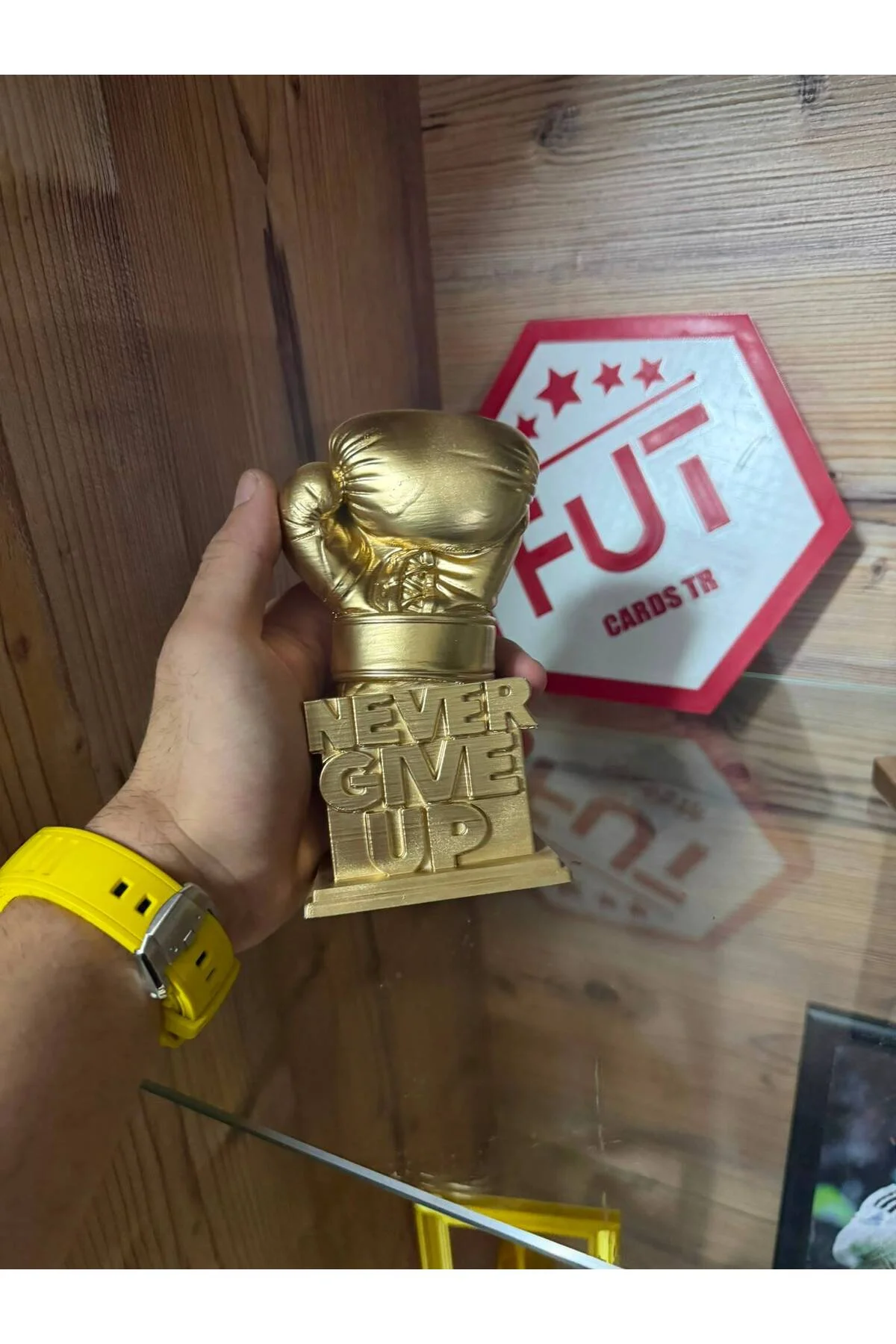Boks Ödül Kupası Never Give Up